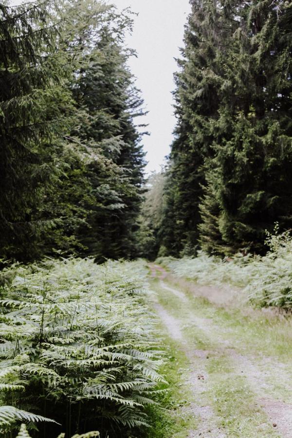 4-Zimmer-Ferienwohnung Waldbluemle Добель Екстер'єр фото
