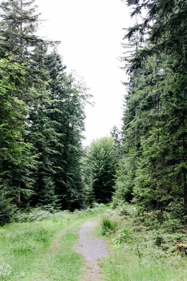 4-Zimmer-Ferienwohnung Waldbluemle Добель Екстер'єр фото