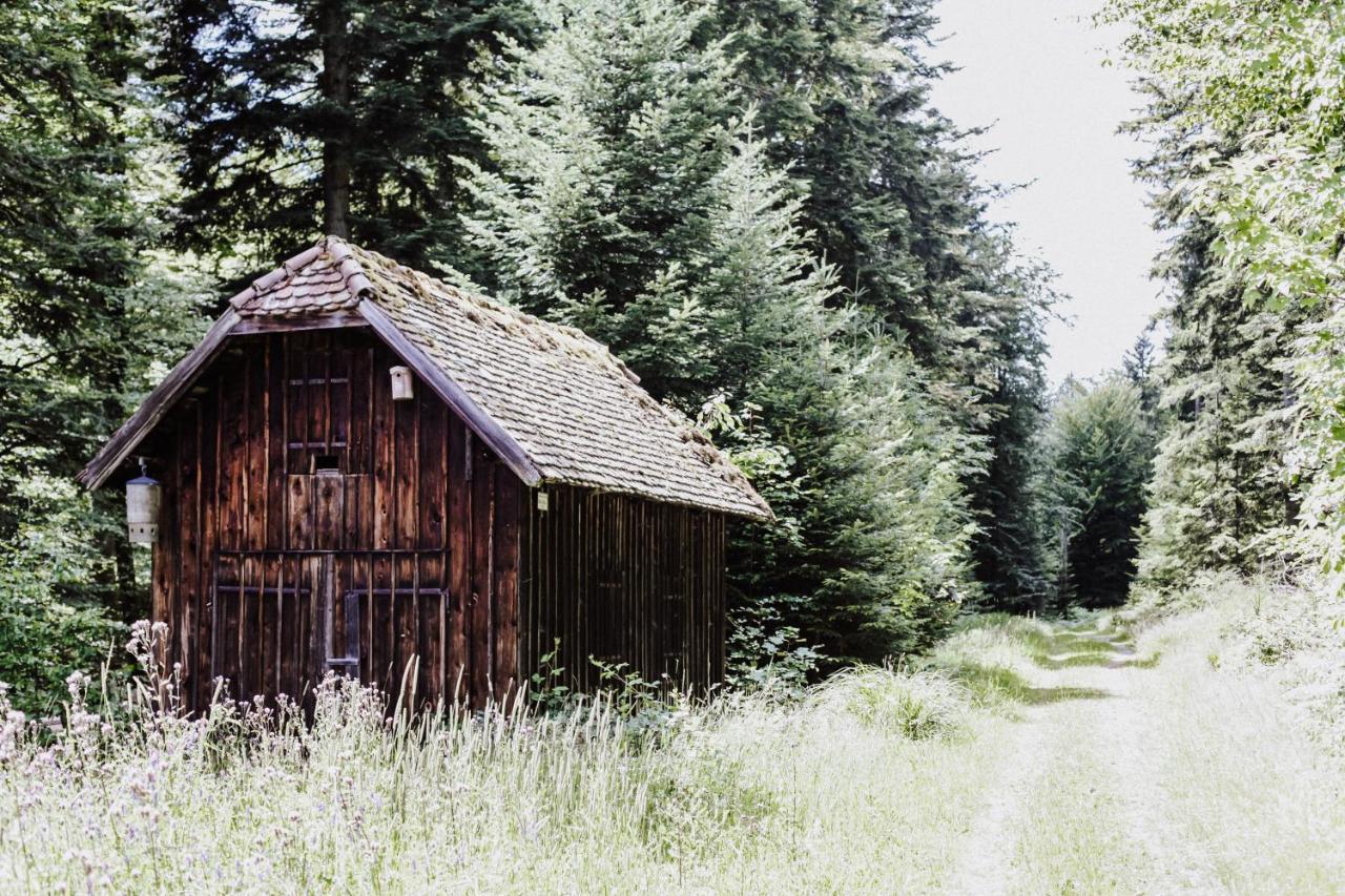 4-Zimmer-Ferienwohnung Waldbluemle Добель Екстер'єр фото